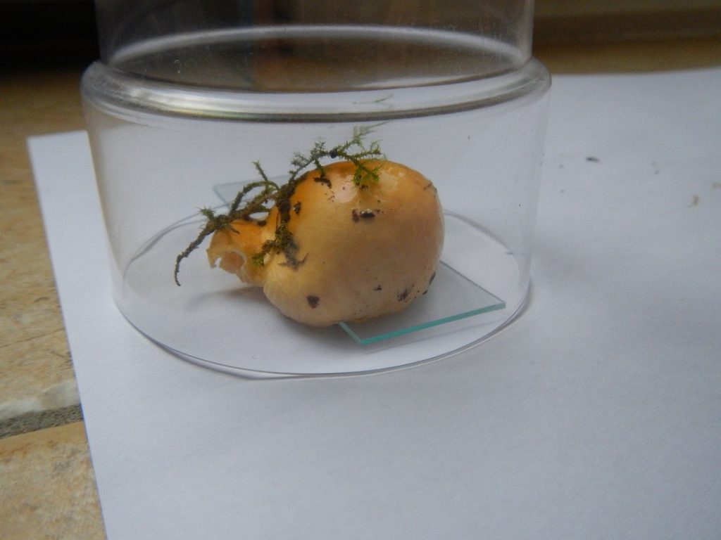 DSCN5522 r.jpg