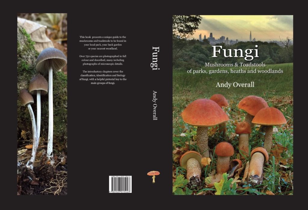 Fungi - Andy Overall.jpg