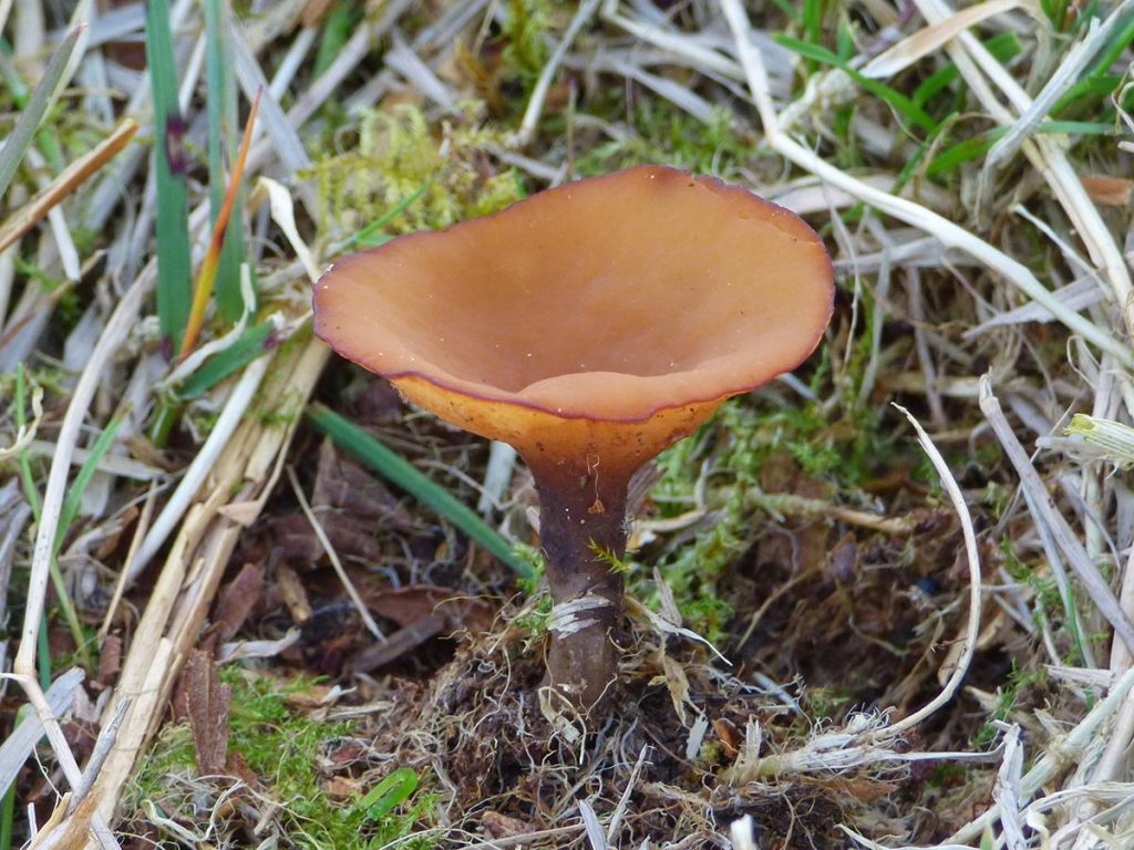 P2060141 copy.jpg