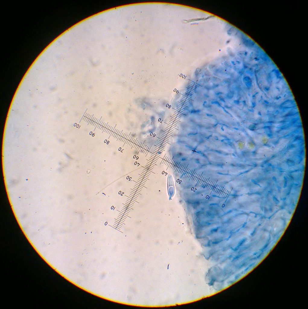 Billede3081.jpg