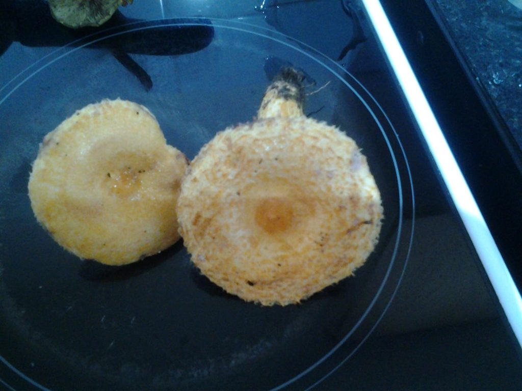 20221004_091301.jpg