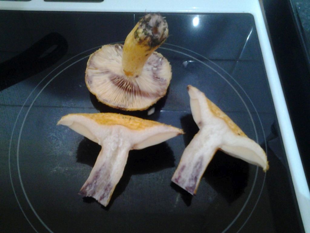20221004_092452.jpg