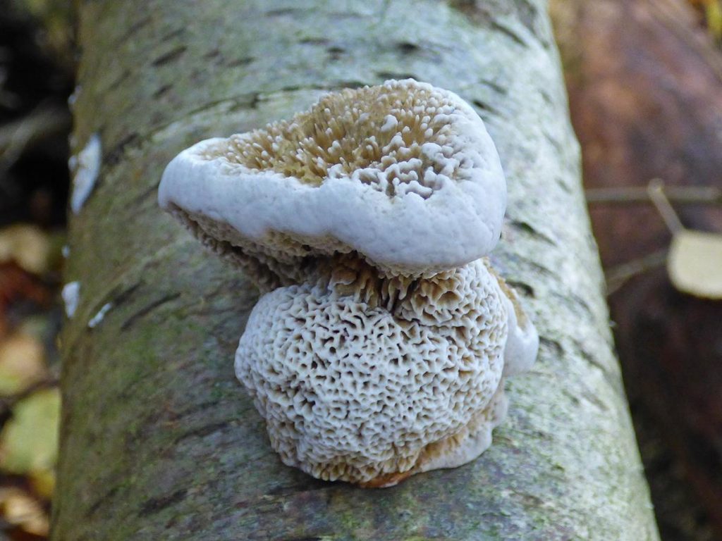 1P2250202.jpg