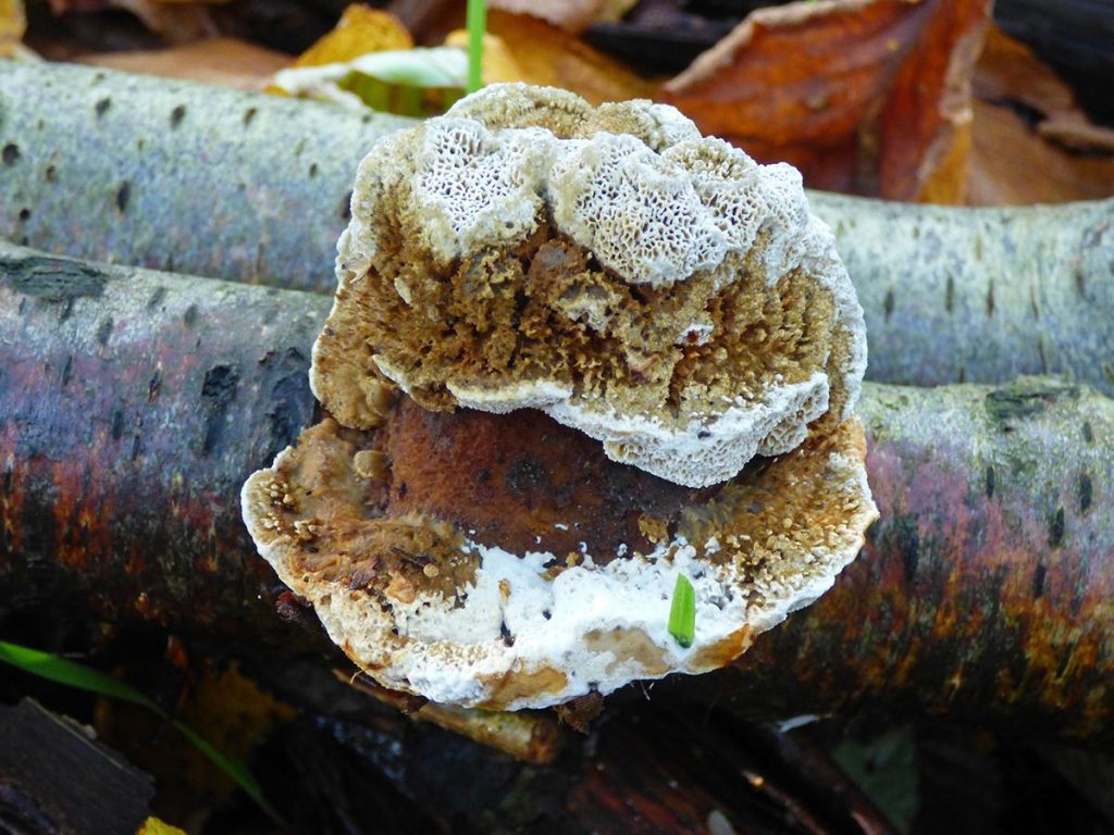 1P2250204.jpg
