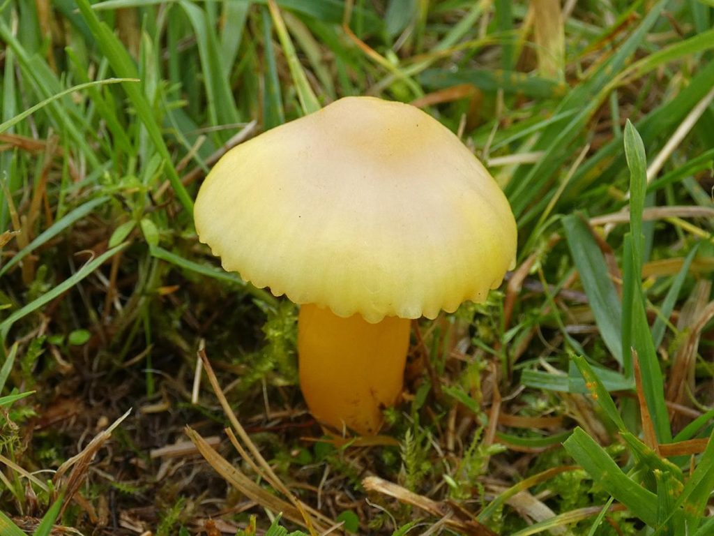 1P1290400.jpg