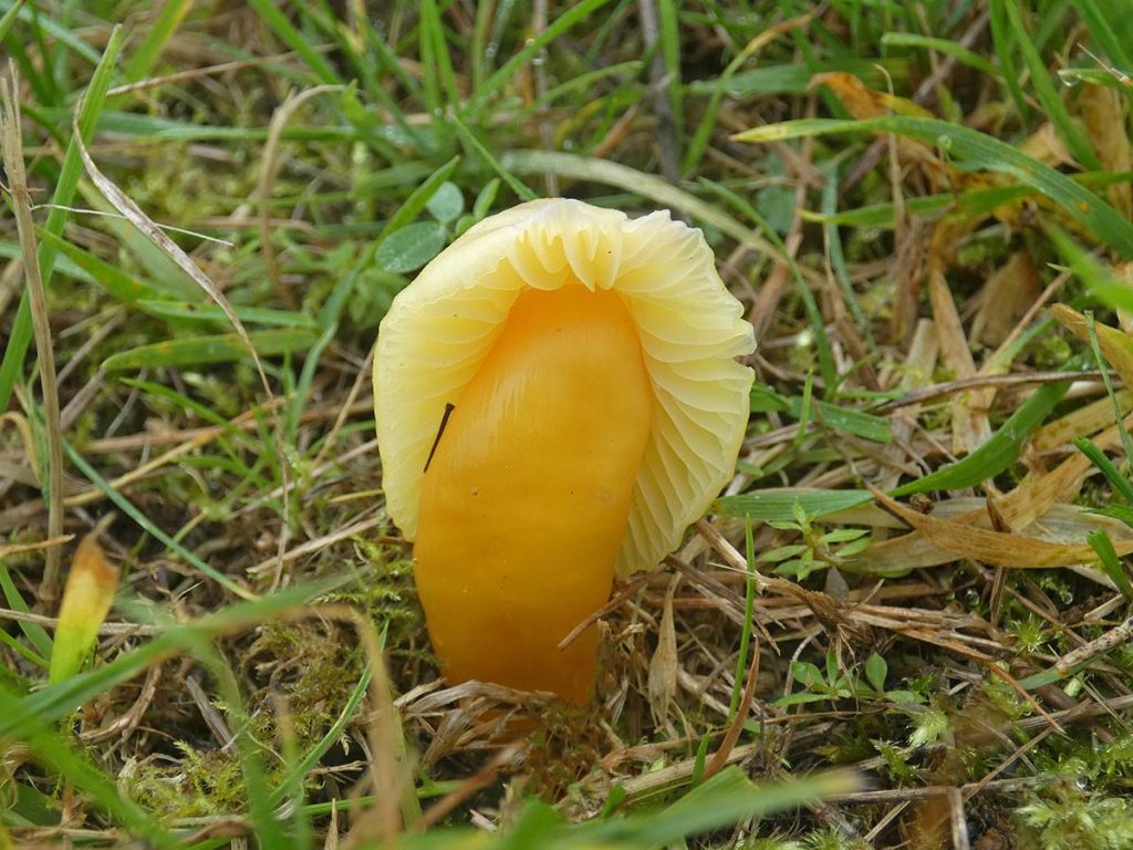 1P1290410.jpg