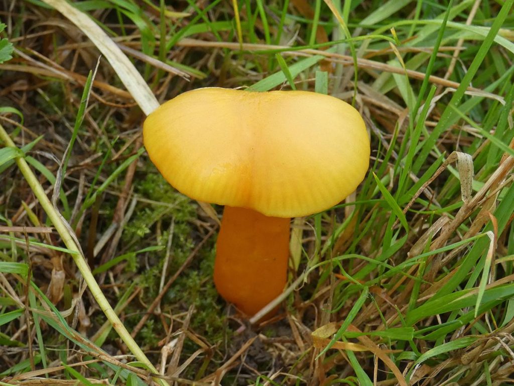 1P1290448.jpg