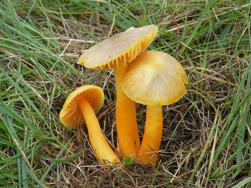 1P1290422.jpg