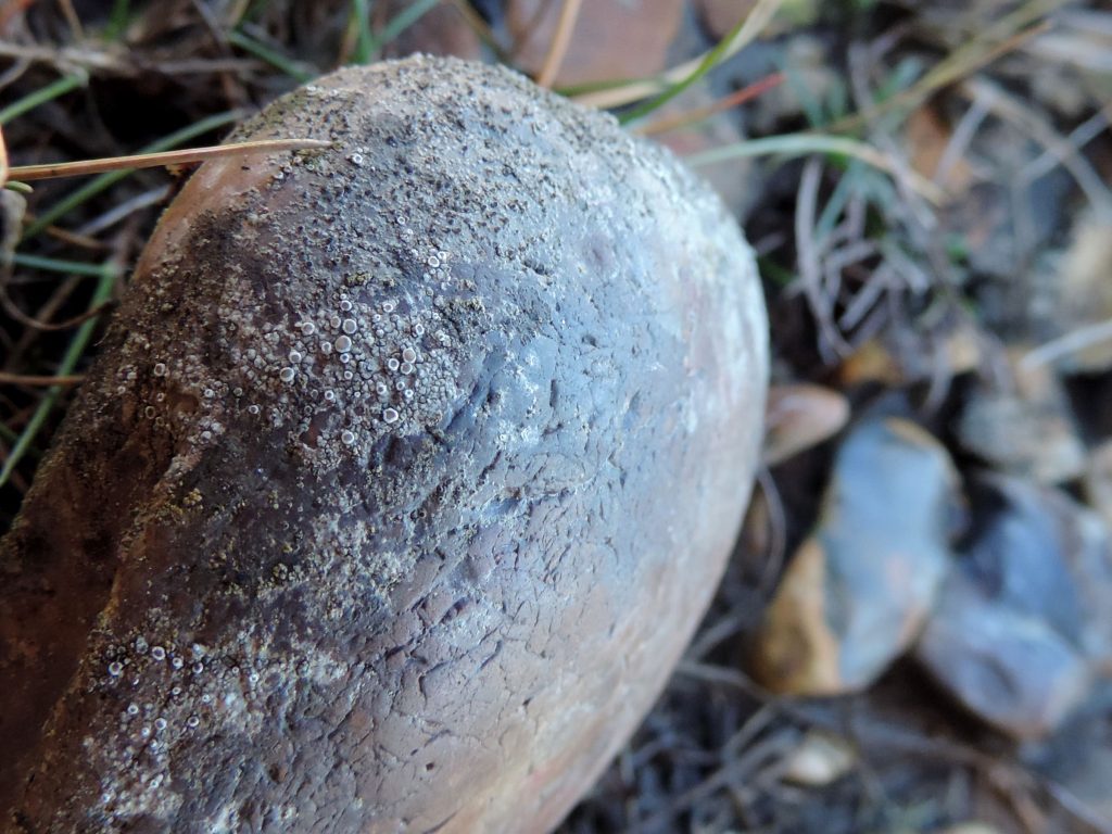 2013-11-10-03.jpg