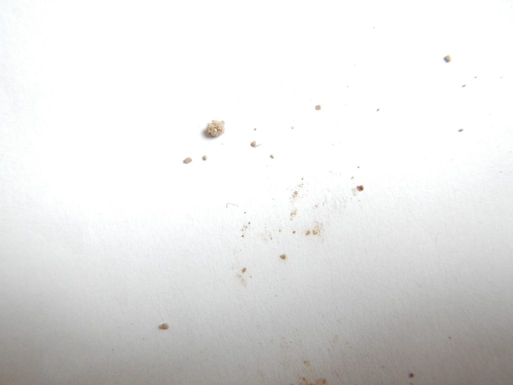 DSCN2081 r.jpg