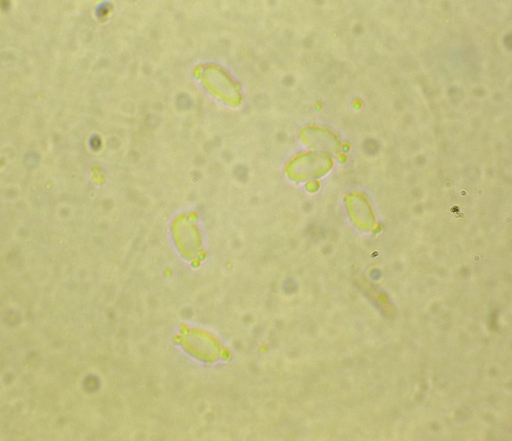 P1100637.JPG