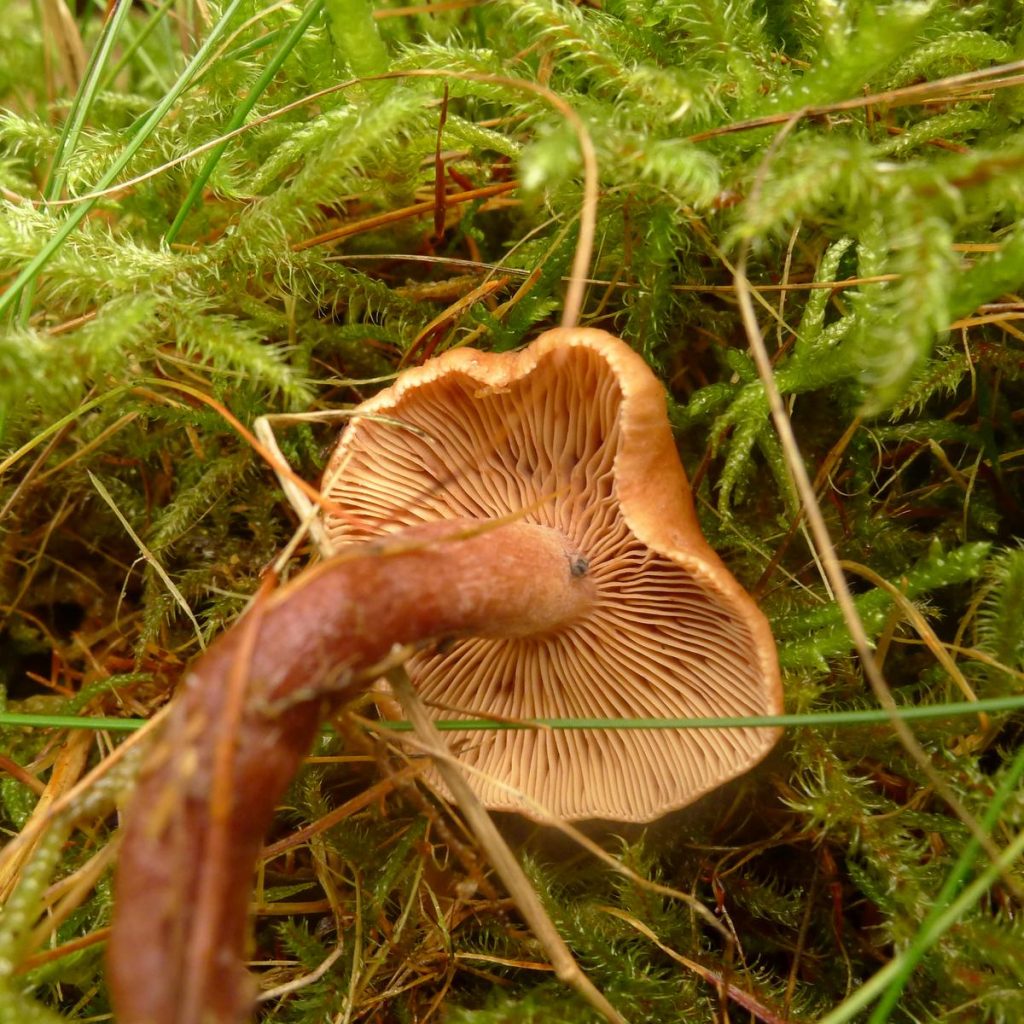 P1100700.JPG
